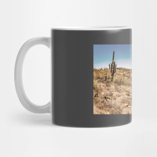 Apache Trail Scenic Drive View Mug